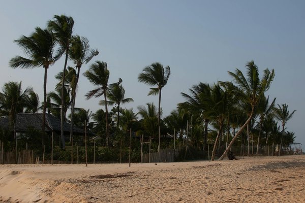 Embark on a flavor journey: your ultimate guide to securing an exclusive whisky tasting at a scottish distillery