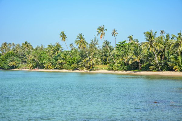 Discover the Top UK Destinations for Unforgettable Guided Tours of Medieval Castles